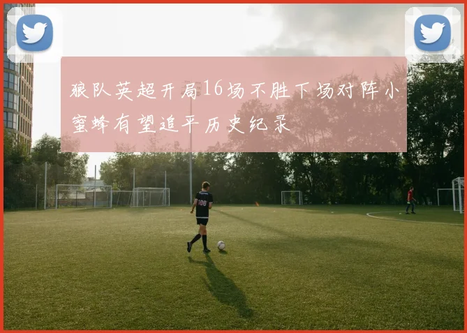 狼队英超开局16场不胜下场对阵小蜜蜂有望追平历史纪录